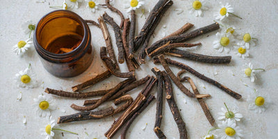 Top-down flat lay of dried licorice root, chamomile flowers and a plain jar on pale stone in soft light