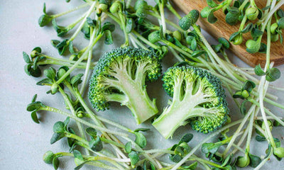 Fresh broccoli sprouts and a halved broccoli arranged on a bright light surface