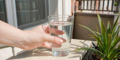 Western fair-skinned hand holding a clear glass of water on a sunny balcony beside a green plant