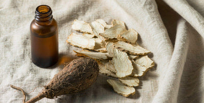 Fresh burdock root slices and a plain dropper bottle on light linen for traditional plant-based bile support.