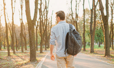 A man walking away on a sunlit tree-lined park path