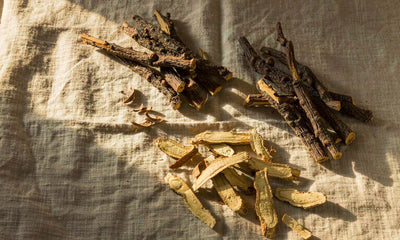 Dried licorice root sticks and sliced root pieces arranged on natural linen in warm morning side light.