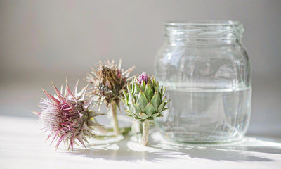 Extreme close-up of milk thistle flower heads beside a clear glass jar of water in bright daylight