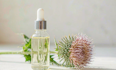 Plain unlabeled dropper bottle of herbal liquid beside a sprig of milk thistle on a bright surface
