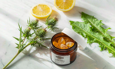 Flat lay of a TUDCA gummy jar with lemon slices and herbs