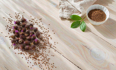 Flat lay of milk thistle seeds and dried purple flower heads on a pale oak table