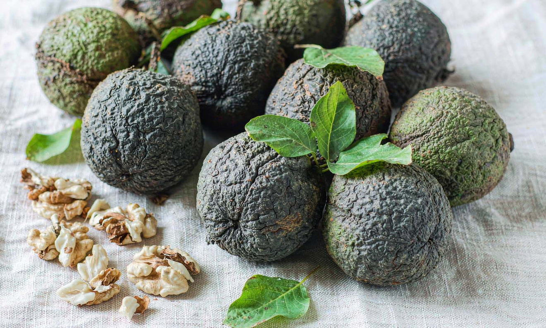 Black walnuts in green husks with shelled halves on a light linen cloth