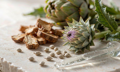Macro study of milk thistle flowers, dandelion root, artichoke leaves and a glass dropper on pale stone
