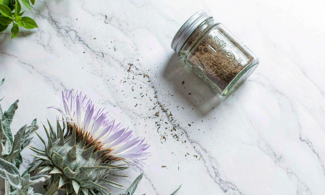 Milk thistle flower with a supplement jar, botanical flat lay