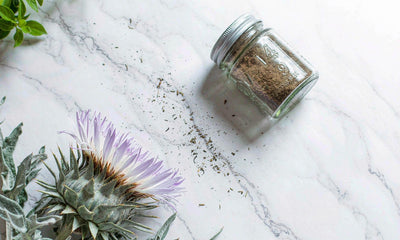 Milk thistle flower with a supplement jar, botanical flat lay