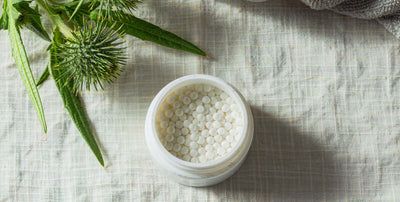 Top-down flat lay of a plain supplement jar with milk thistle sprigs on bright linen fabric