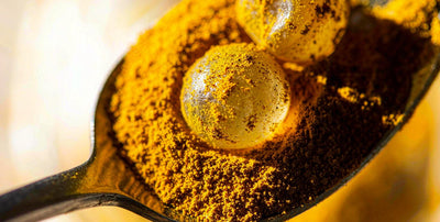 Golden turmeric powder and a tudca gummy on a spoon against a bright airy backdrop