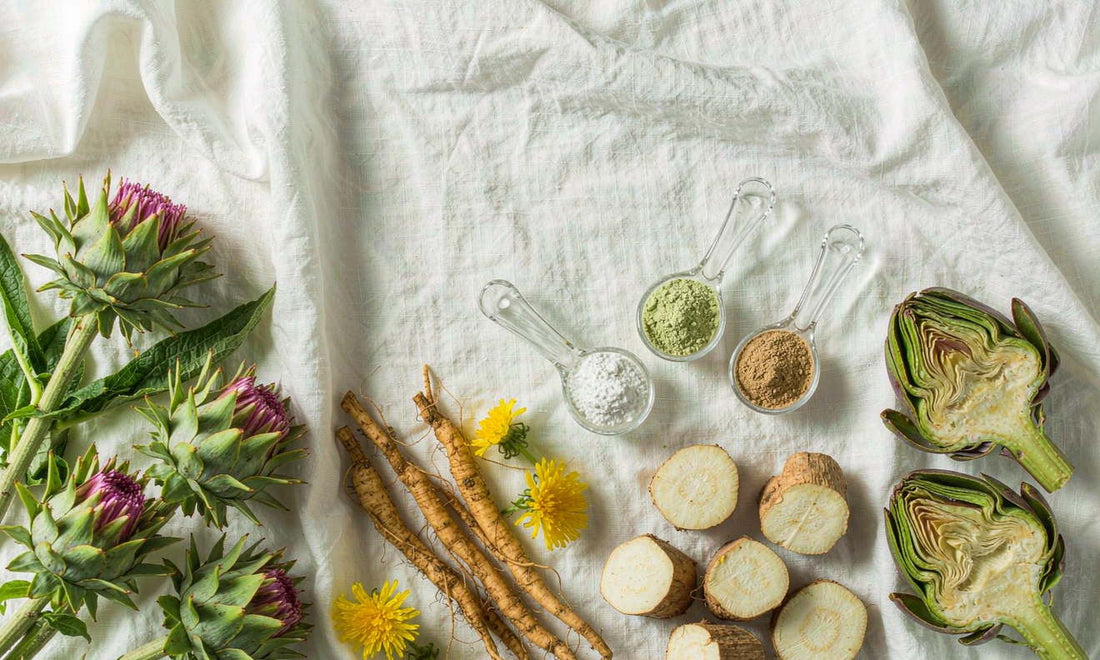 Overhead flat lay of milk thistle, dandelion root, burdock slices and botanical powders