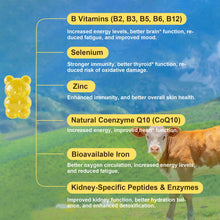 Beef kidney gummies supplement facts panel listing DAO enzyme per serving