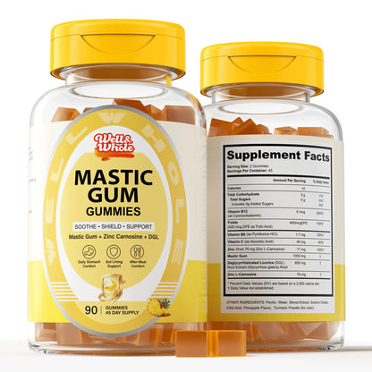 Mastic Gum Gummies with Zinc Carnosine & DGL | Stomach Comfort, 90 Count