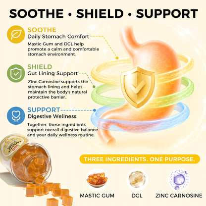 Mastic Gum Gummies with Zinc Carnosine & DGL | Stomach Comfort, 90 Count