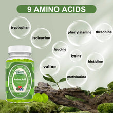 Essential amino acid gummies in an open palm, GetWellWhole chewable daily format